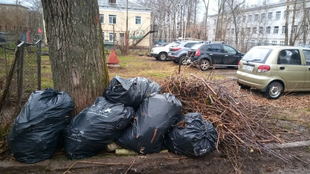 Вывоз мусора после субботника в Барнауле от ПроМусор – уборка и утилизация отходов от 2377 руб