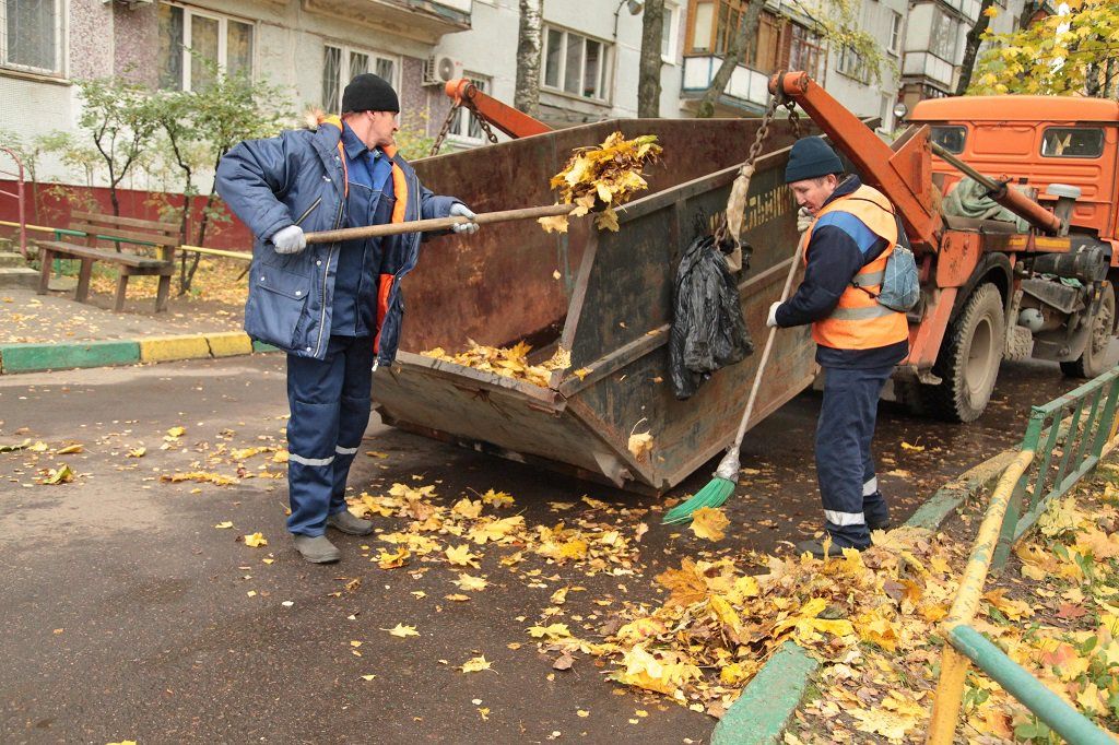 Вывоз опавшей листвы и растительного мусора в Барнауле от ПроМусор – цена от 4552 руб., быстрая уборка и утилизация